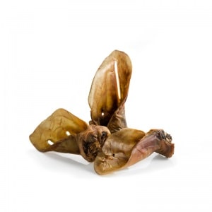 Runderoor met oorpit 10 stuks