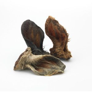 Runderoor met haar